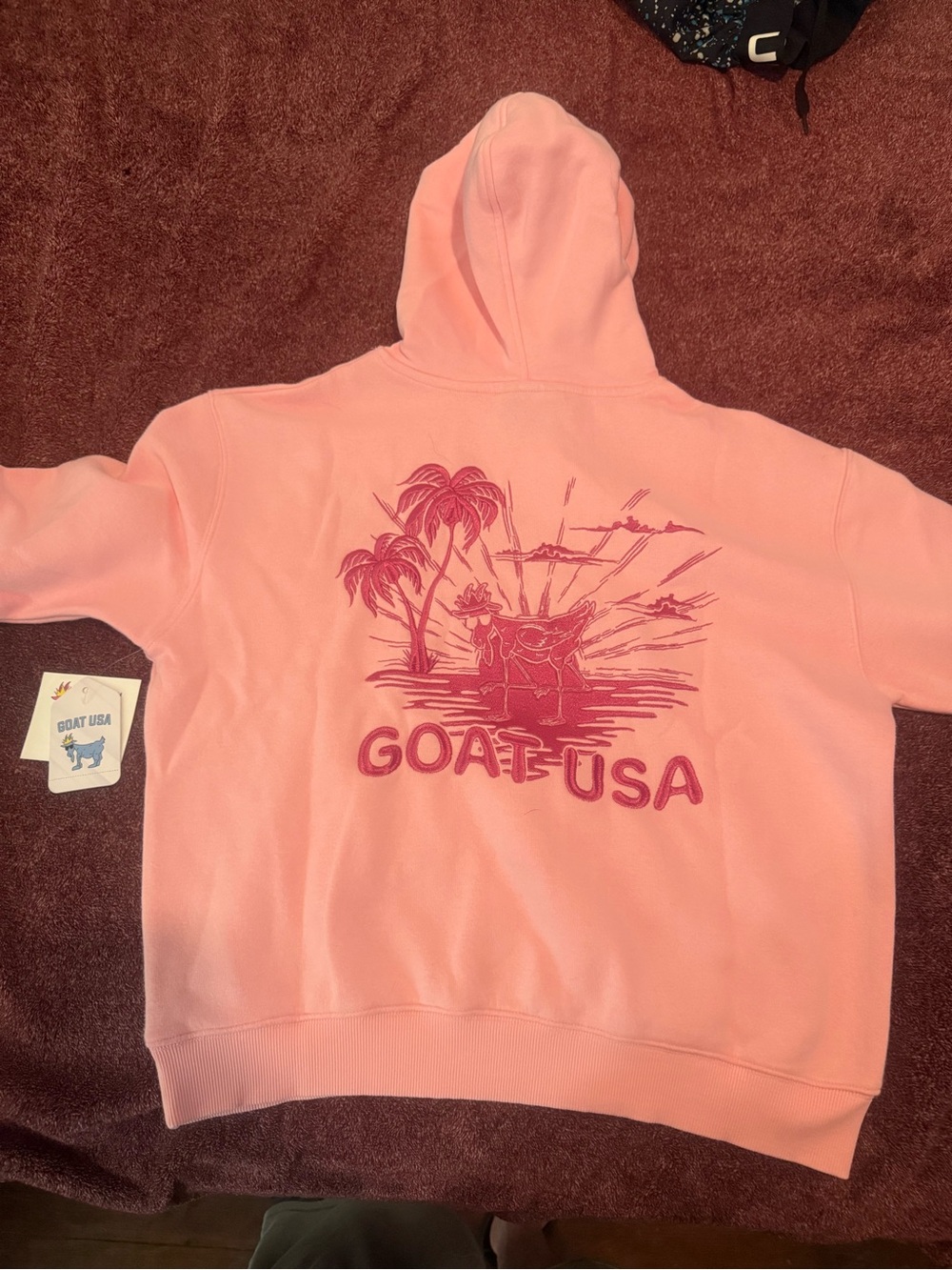 Kids Pink Graphic Hoodie